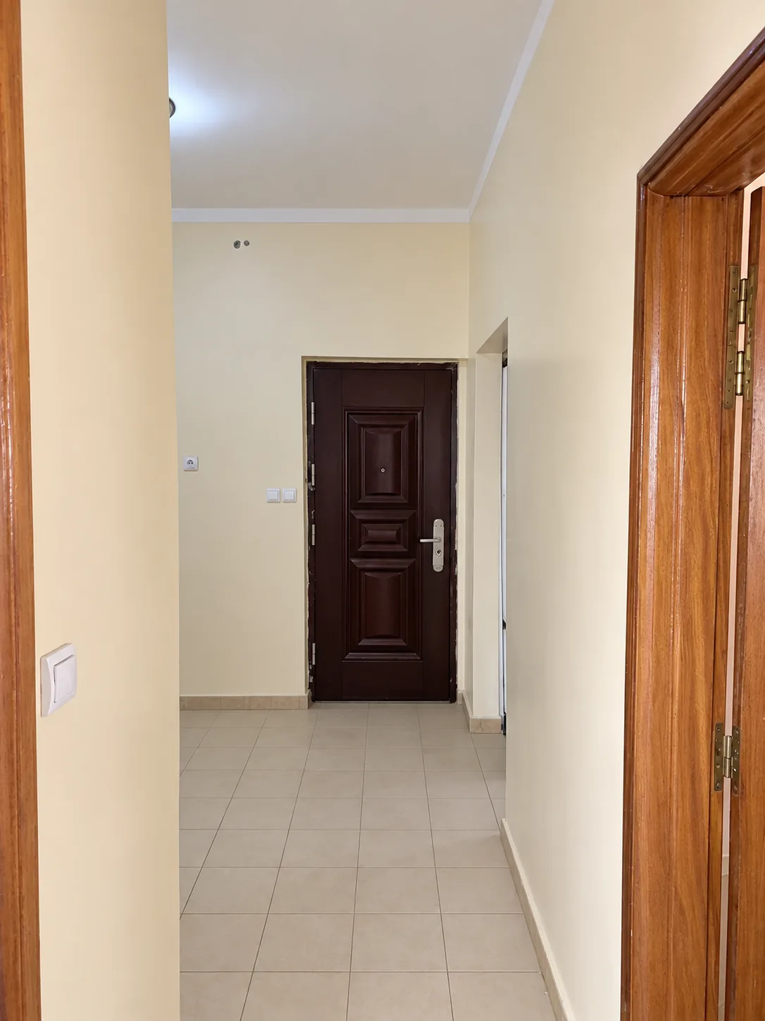 Couloir d'entrée et porte palière